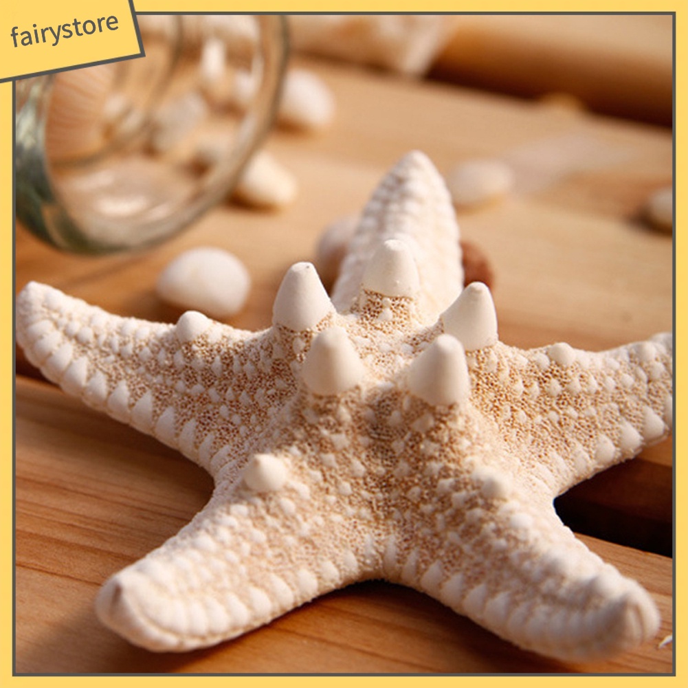 Kẹp Tóc Càng Cua Hình Sao Biển Tự Nhiên Cho Nữ