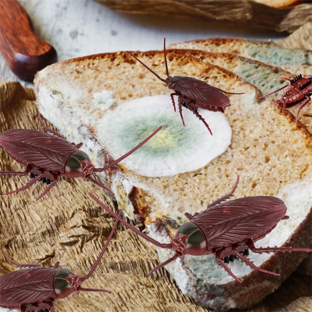 Đồ Chơi Mô Hình Con Gián Điện Tử D8O7 Trang Trí Halloween