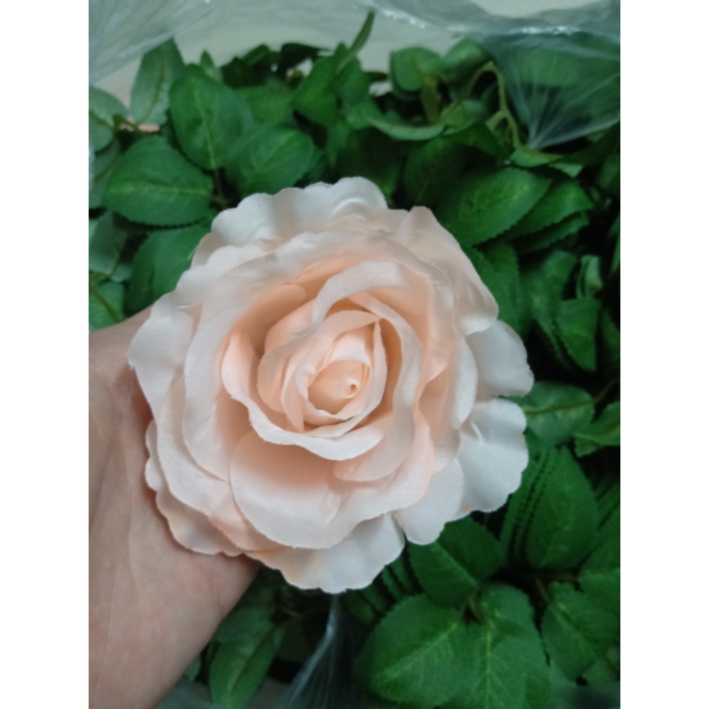 Đầu Bông Hoa Hồng Bông Lớn - Hoa giả