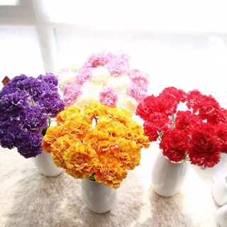 ❌⭕️❌ Hoa cẩm chướng ( ko kèm lọ) 