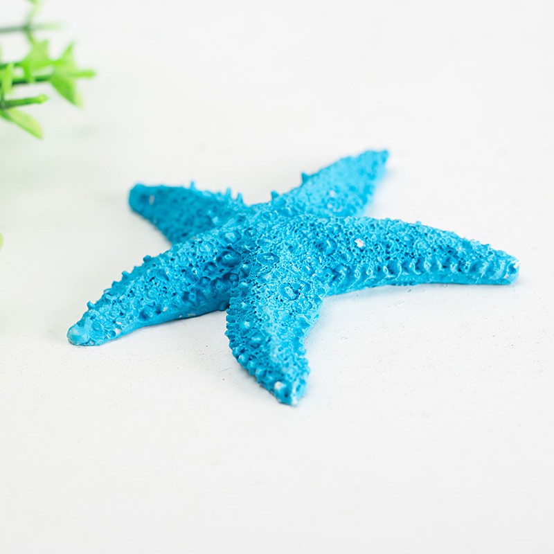 Mô hình sao biển trang trí size 8cm thân dày  - Decor đồ trang trí theo phong cách biển Địa Trung Hải