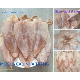 Mực khô Nha Trang,Mực lá câu, mực khô giá rẻ, mực khô làm quà, mực câu loại 1 size 16- 18 con/kg, Đặc sản Nha Trang