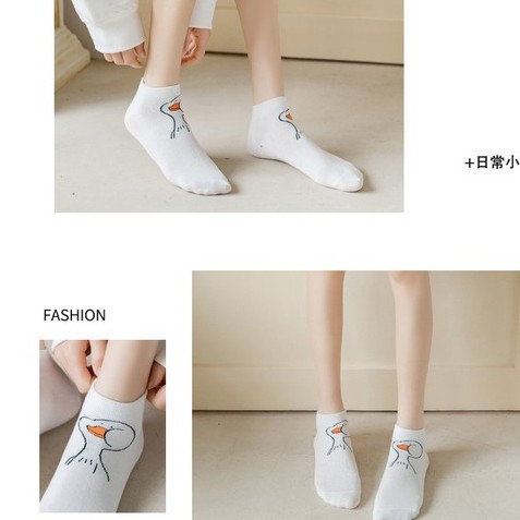 VỚ VỊT VÀNG CỔ NGẮN