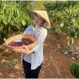 Cà phê Arabica Cold Brew 100% nguyên chất rang mộc