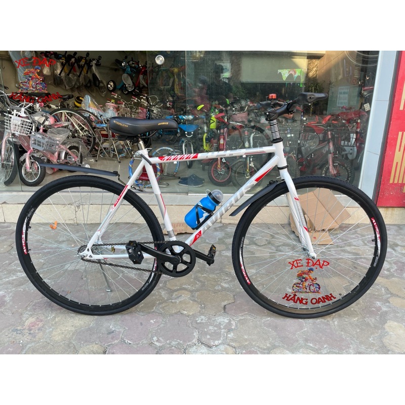 Xe đạp thể thao Fixed Gear phanh bằng chân Avibus Bền Bỉ Dễ Dàng Sửa Chữa + KM 5 Phụ Kiện