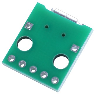 Bảng Mạch Chuyển Đổi Micro-Usb Sang Dip