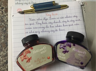 Mực Pelikan