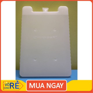 Đá gel hộp, Hộp đá khô giữ lạnh trọng lượng 600g [Hàng Chất Lượng]
