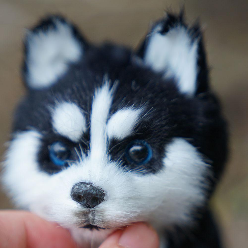 Đồ Chơi Mô Phỏng Chú Chó Husky Sống Động V1B2