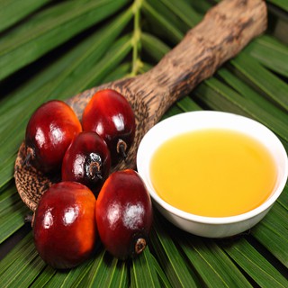 DẦU CỌ - PAML OIL 1LÍT ( ẤN ĐỘ)
