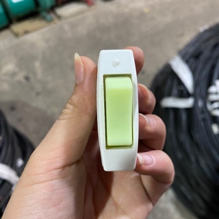 Công tắc quả nhót