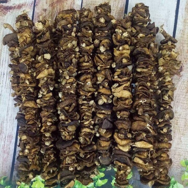 Nấm hương rừng