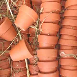 CHẬU ĐẤT NUNG [PEEK A BOO GARDEN]