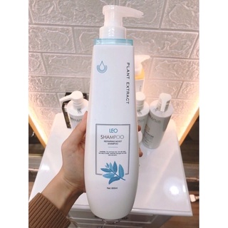 DẦU GỘI /XẢ PHỤC HỒI LEO PROSEE CHÍNH HÃNG 800ML