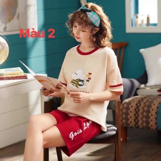 Combo 5 bộ đồ 830k