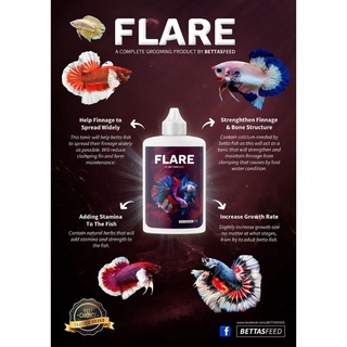 FLARE - Thuốc dành cho ép cá Betta. (hàng chính hãng)