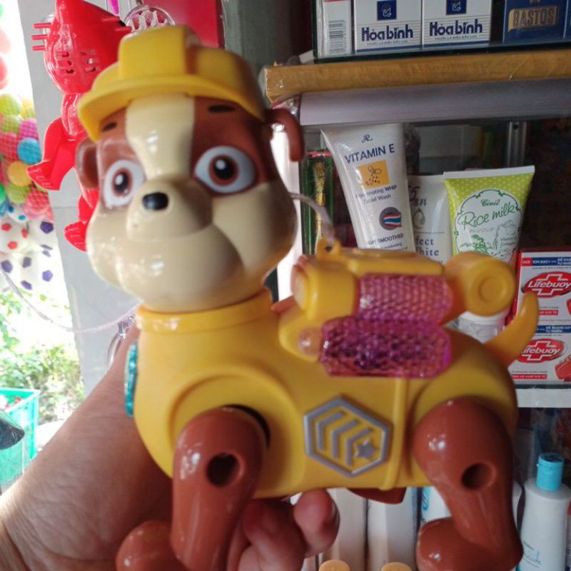 Chó cứu hộ đèn nhạc