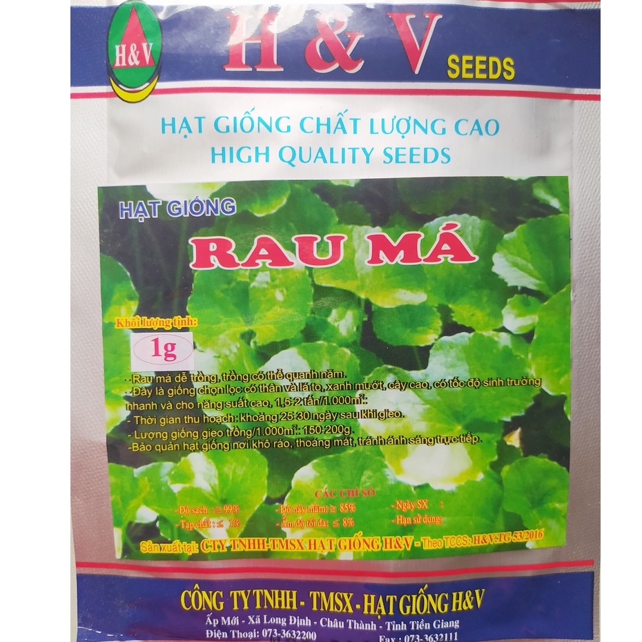 Hạt Giống Rau Má (1g)