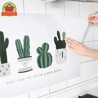 Giấy dán tường bếp hoạ tiết