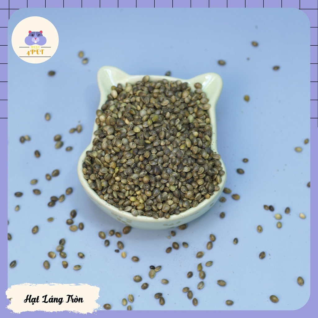 Hạt Láng Tròn cho Hamster, Chim, Vẹt,...