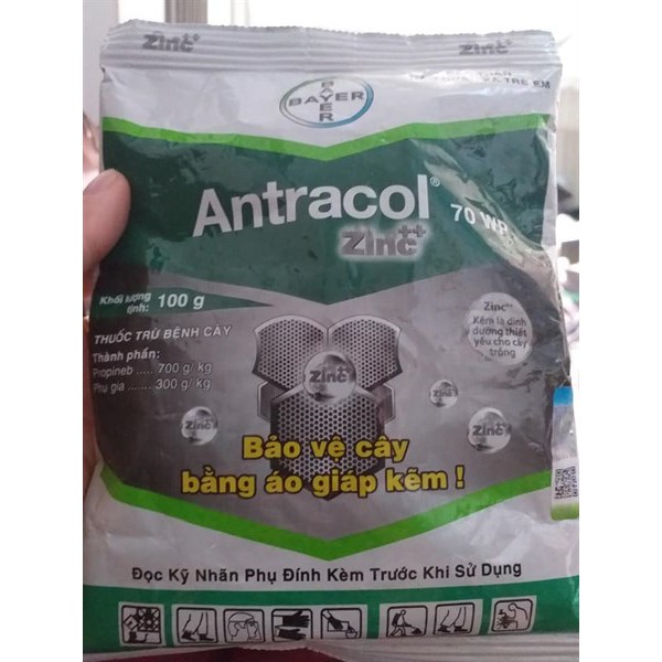 Thuốc trừ nấm ANTRACOL 70WP bịch 100gr