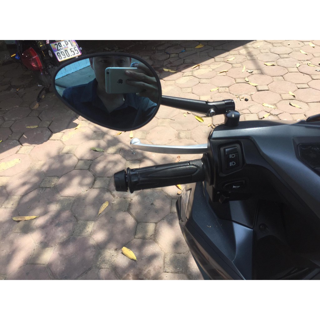 Gương lá Rizoma