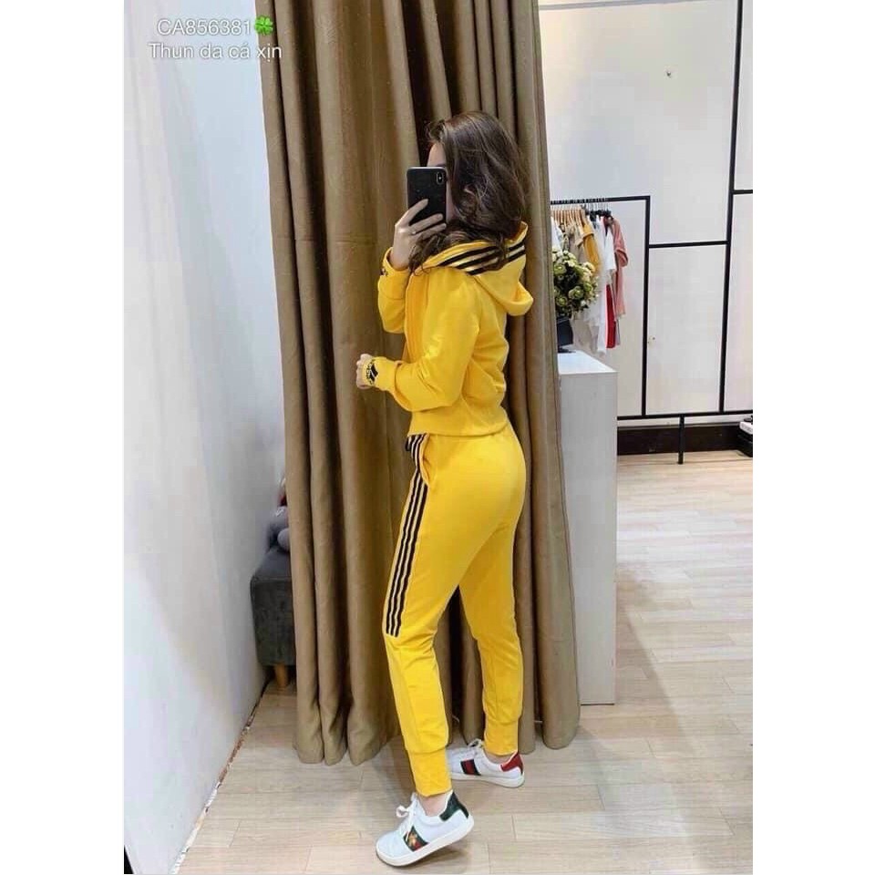 SET BỘ THUN NỮ THỂ THAO , VẬN ĐỘNG THOẢI MÁI HOT TT