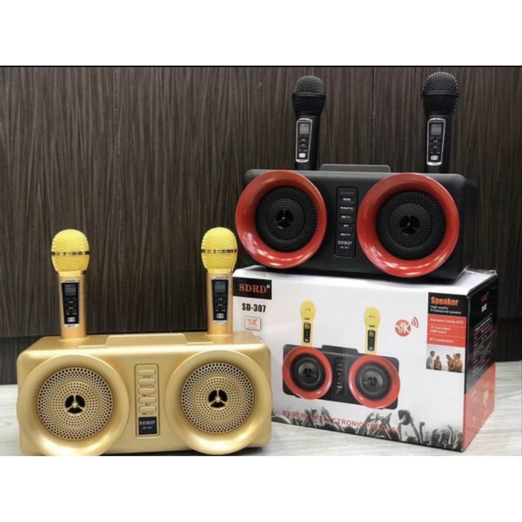 Loa bluetooth kèm 2 mic karaoke SD307