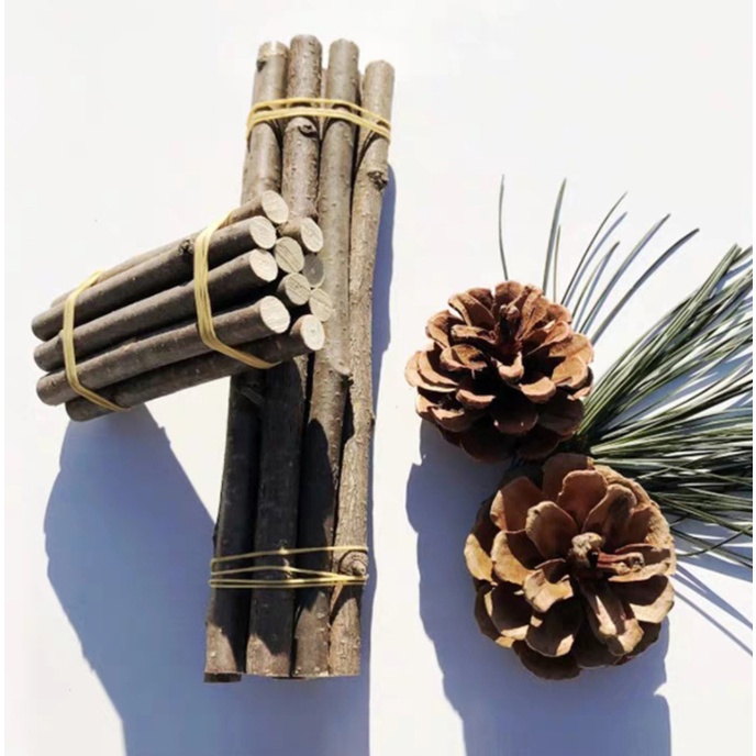 Cây Khô Trang Trí Handmade Set 10 Khúc