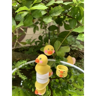 Combo Vịt Vàng