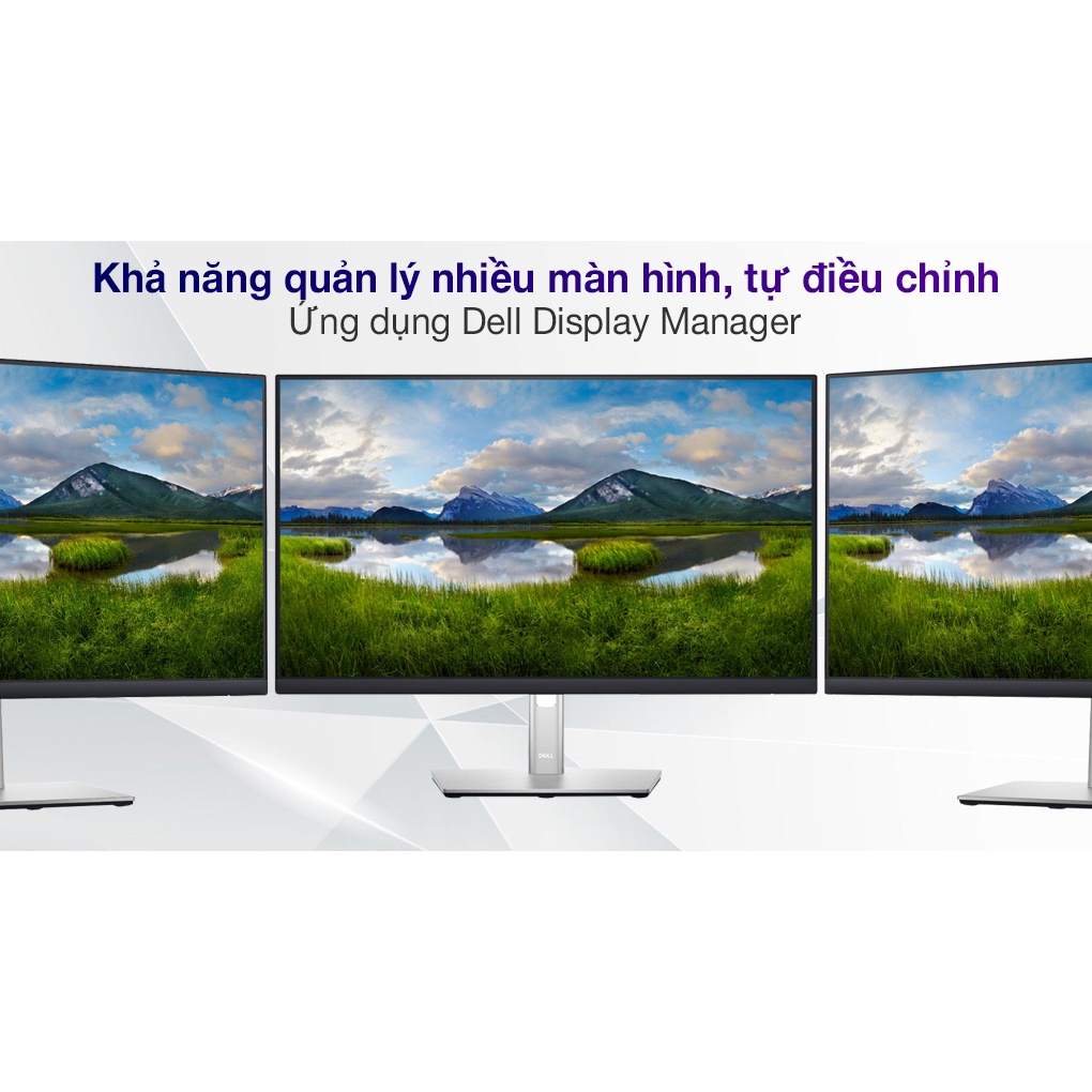 Màn hình máy tính Dell P2422H 23.8 inch FHD Chính hãng BH 3 năm