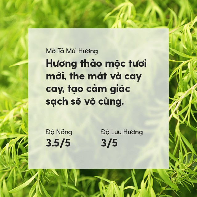 17 MÙI Tinh Dầu Diệt Khuẩn Làm Sạch Không Khí Organic Thiên Nhiên Nguyên Chất Đậm Đặc HENY GARDEN