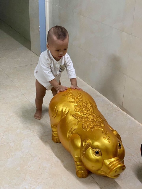 Heo đất to khủng 80 cm