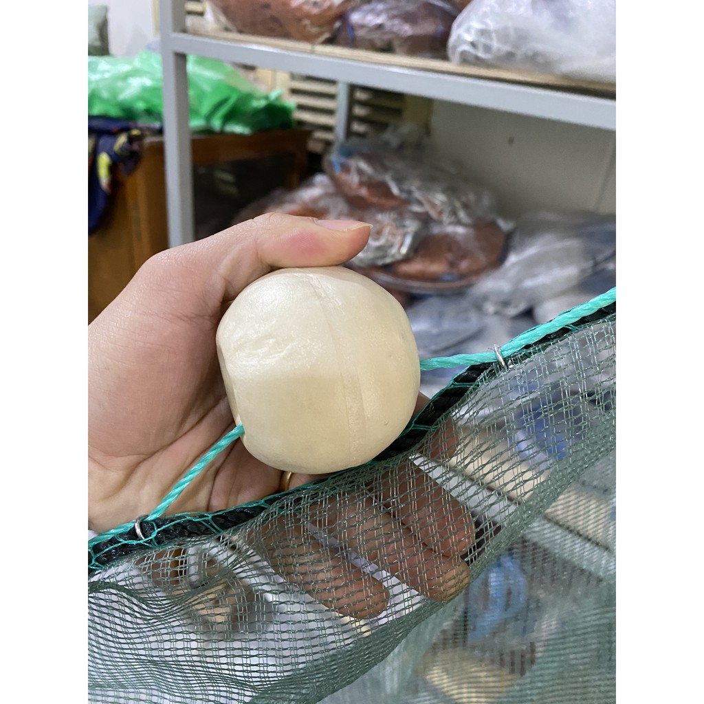 Đăng chặn sông,cống, Dớn cá, Dớn Chặn Cá, Săm Chặn