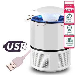 Đèn bắt muỗi và diệt côn trùng mosquitokiller