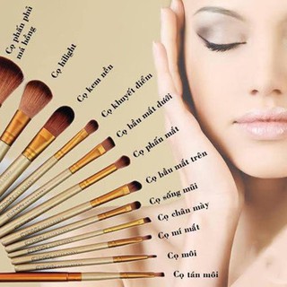 Bộ cọ trang điểm 12 món