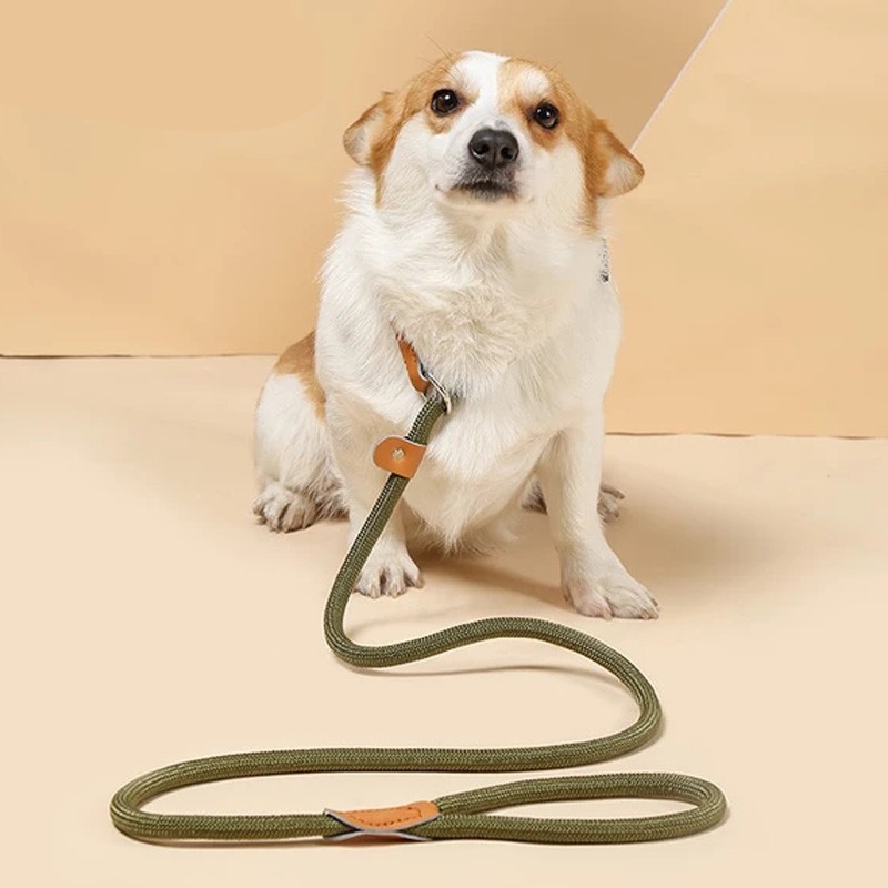 Dây Dắt Thú Cưng Đi Dạo Chất Liệu Da Nylon Chắc Chắn
