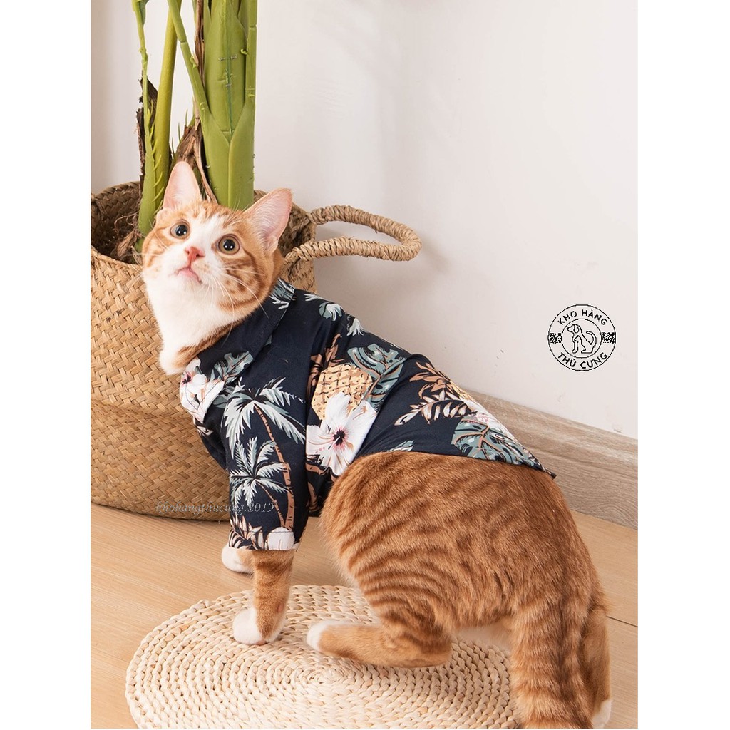 ÁO SƠ MI HOA DỨA- XANH (Size từ 1- 40kg)