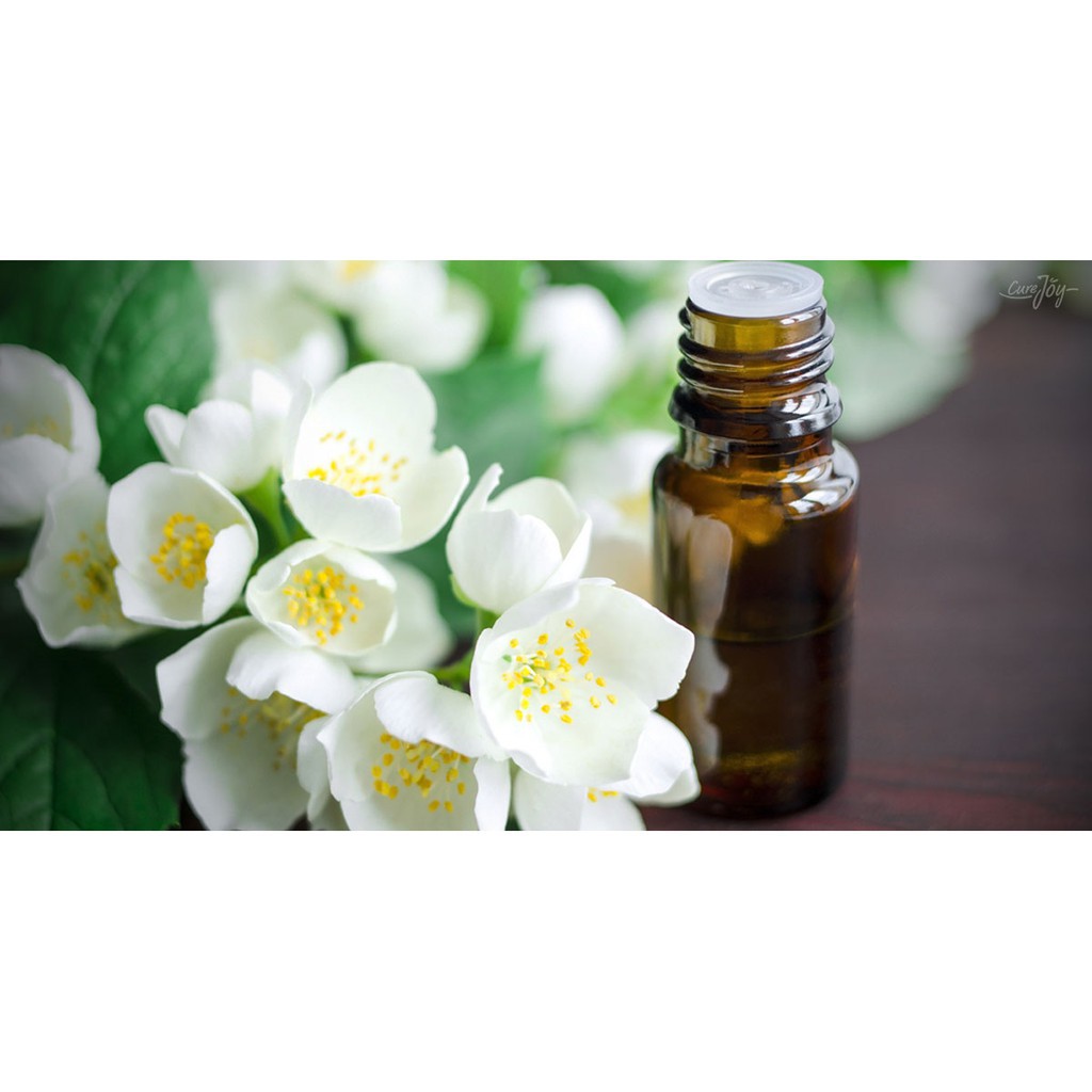 Tinh dầu GUTY hương hoa nhài nguyên chất ( Jasmine essential Oil )