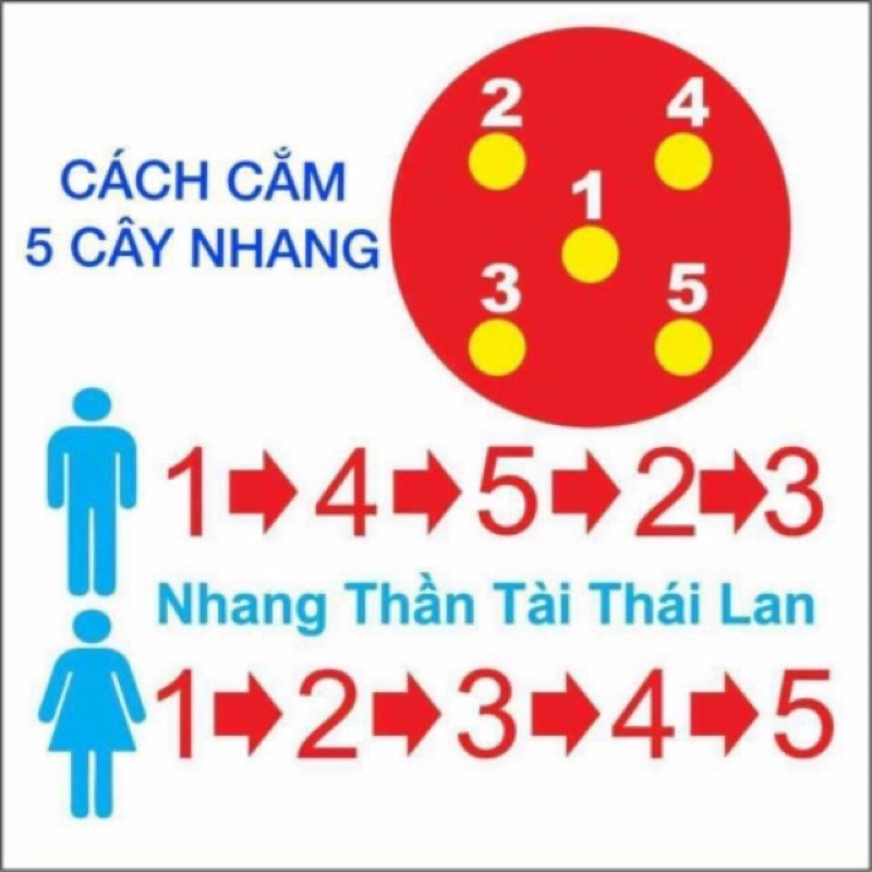 Nhang thần tài, hương thần tài Thái Lan ( 79 cây/1 bó số tài lộc)