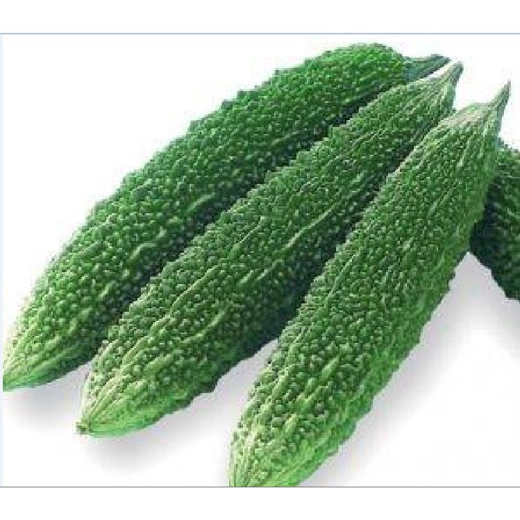 Hạt giống khổ qua gai xanh  1 gói 10 hạt