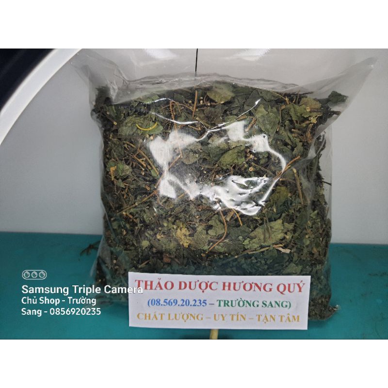 1Kg Cây Lá Lốt Khô, Sạch, Loại 1