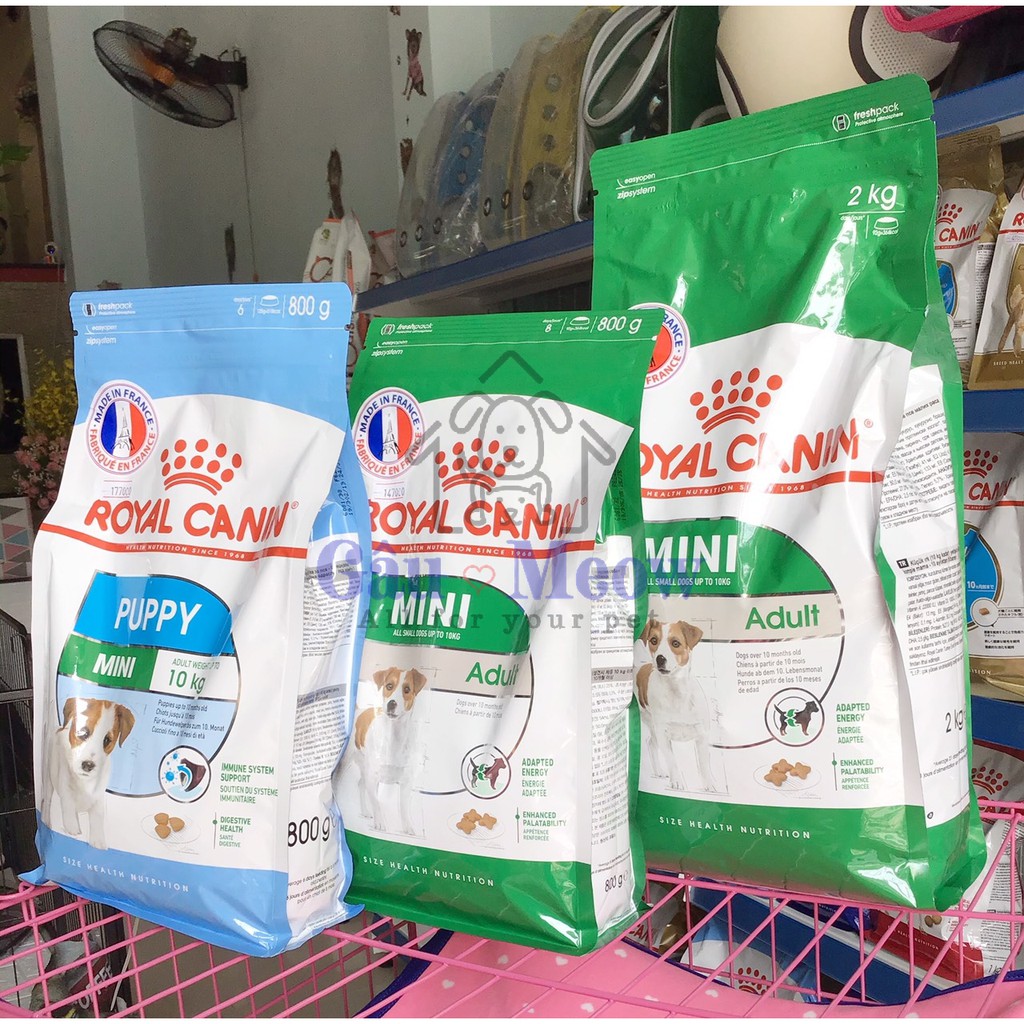 Thức ăn hạt cho chó cỡ nhỏ dưới 10 tháng tuổi - Royal Canin Mini