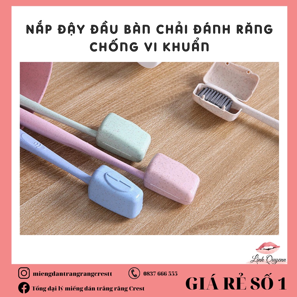 Nắp Đậy Đầu Bàn Chải Đánh Răng Chống Vi Khuẩn