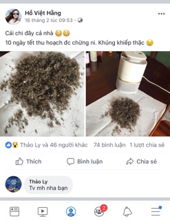 Máy bắt muỗi cao cấp