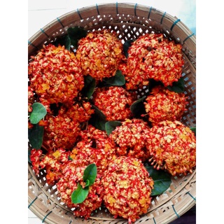 cây mẫu đơn thái phụng hoàng cam