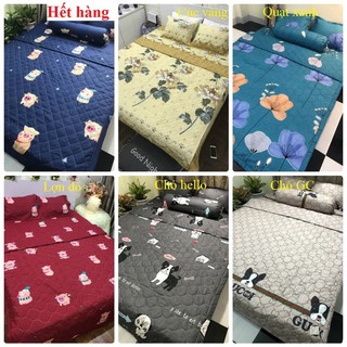 Bộ ga gối poly cotton m6/m8 ( được chọn mẫu)