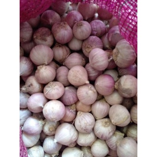 1KG tỏi cô đơn