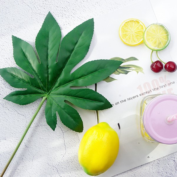 Lá cây trang trí chụp ảnh sản phẩm + 10 Mẫu