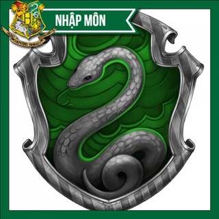Combo Slytherin nhập môn